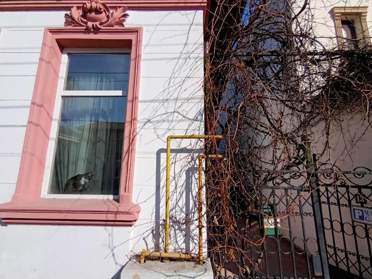 Apartamento Casa Liveni Bucarest Exterior foto