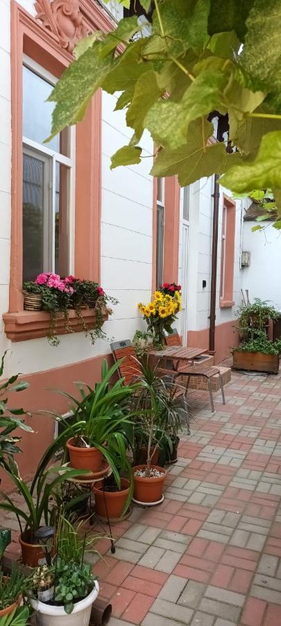 Apartamento Casa Liveni Bucarest Exterior foto
